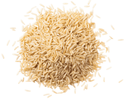 A pile of rice grains.
